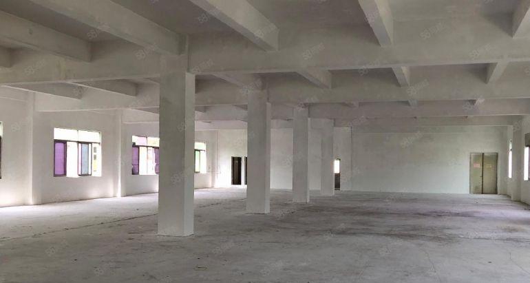 光明区马田街道新围工业园新出独院5100招租可分租