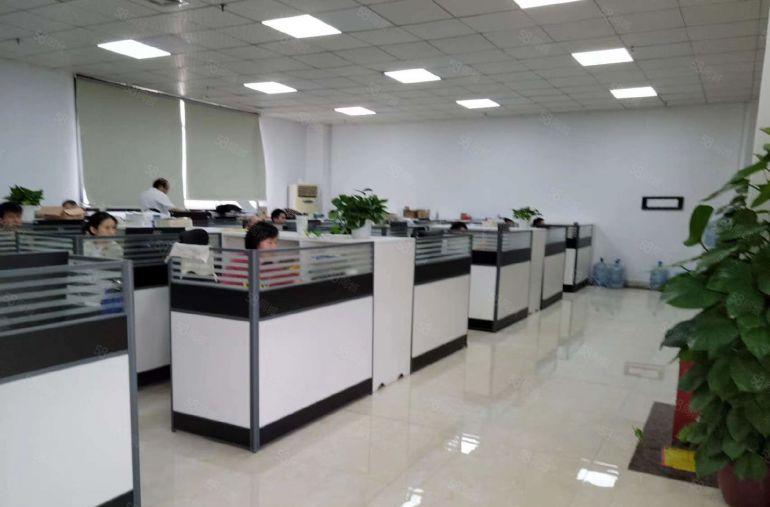 光明公明厂房，仓库出租1650平精装（中间无柱，使用率极高）