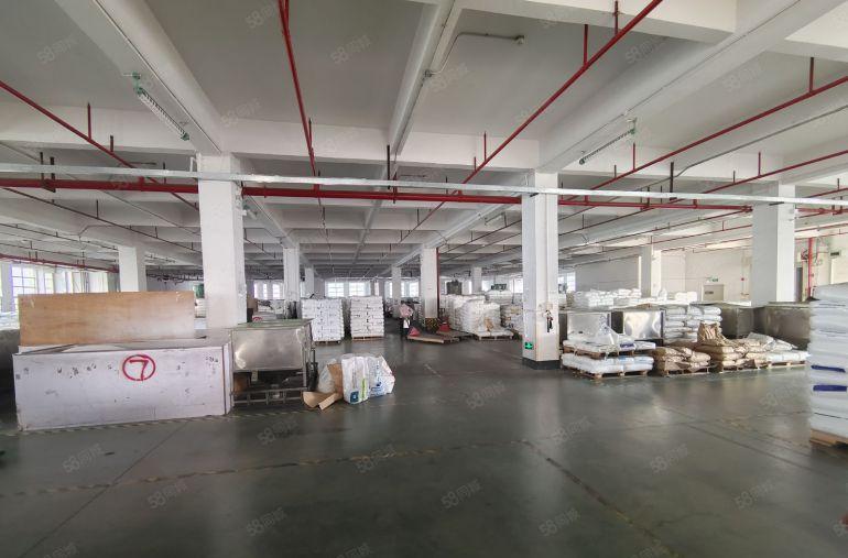 光明区公明田寮南光高速口新厂房形象好4500平方可以分租