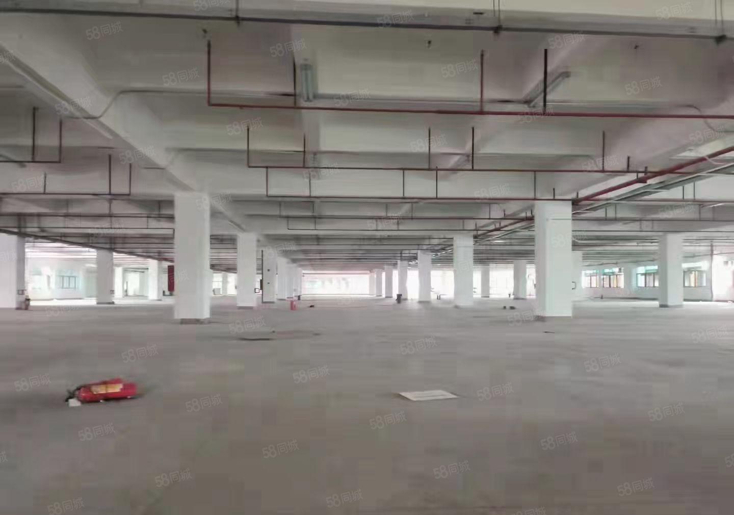 数据库量身打造，光明全新重工业厂房，红本厂房，合同10年起