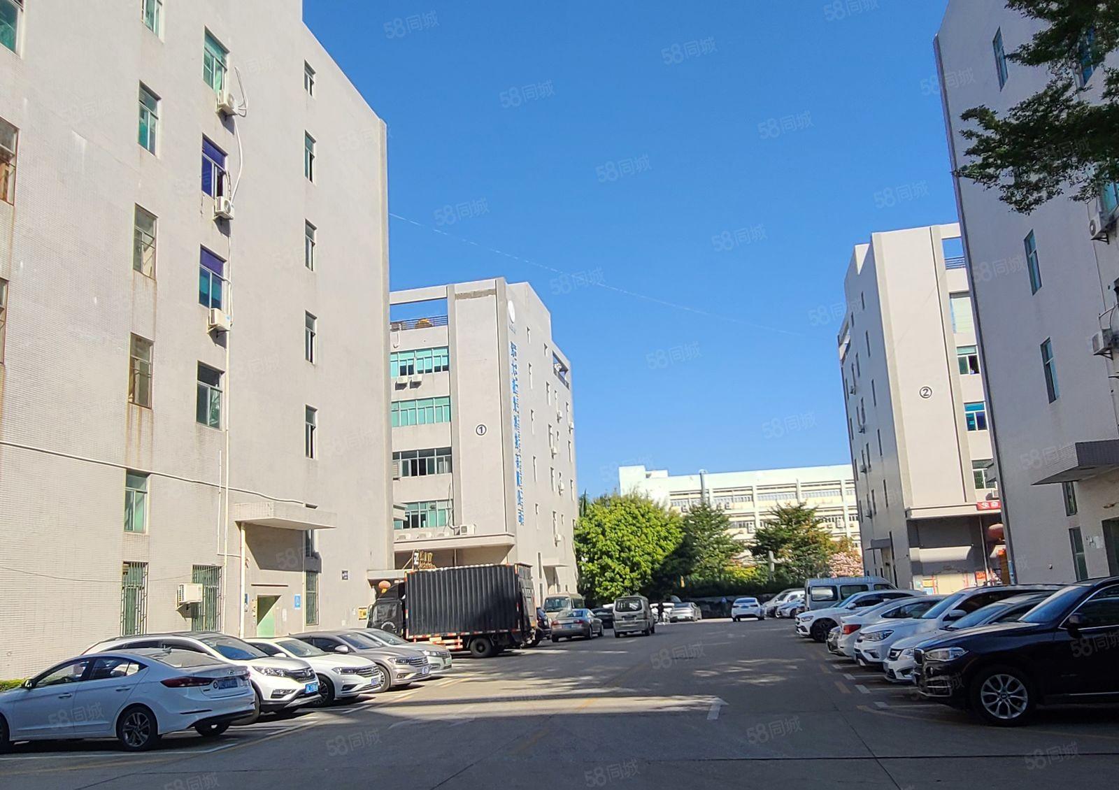 光明原房东一楼红本厂房大小可分