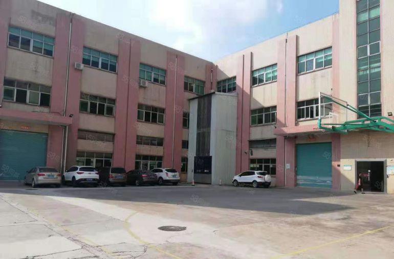 公明原房东厂房出租（3层8100平单层2700，空地超大）