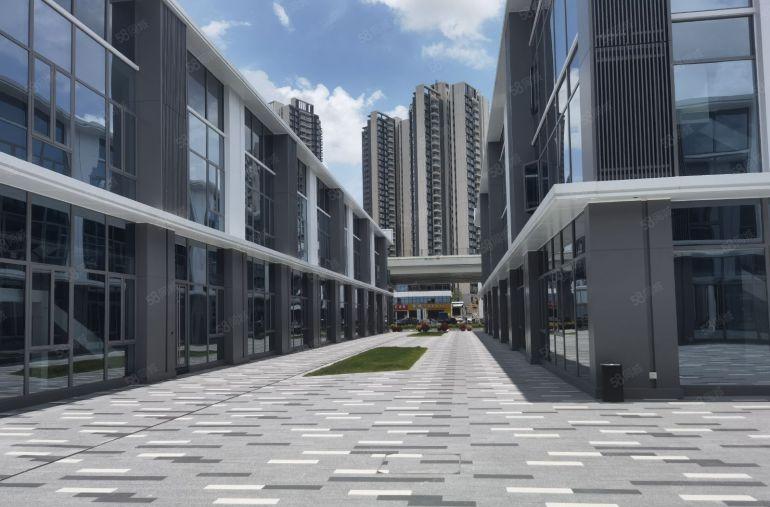 光明合水口办公厂房出租8000平可200平起分租可享受政补贴