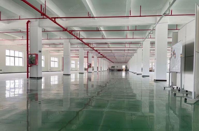 公明原房东独栋15000平厂房出租精装修  带有红本