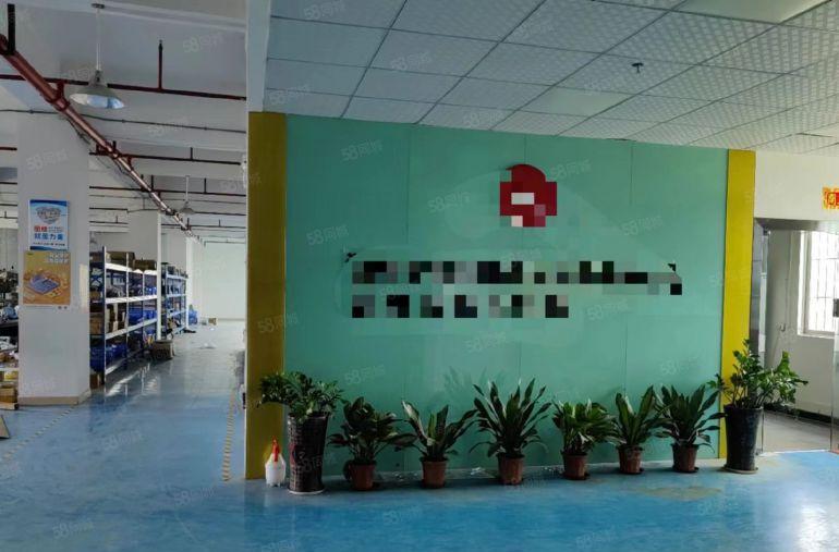 18元出租公明红星2楼整层1000平（原设备厂，全新地平漆）