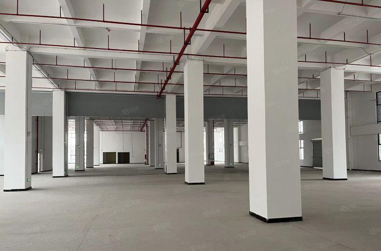 13元租全新红本厂房，仓库1000~4300平可做纸箱，电池