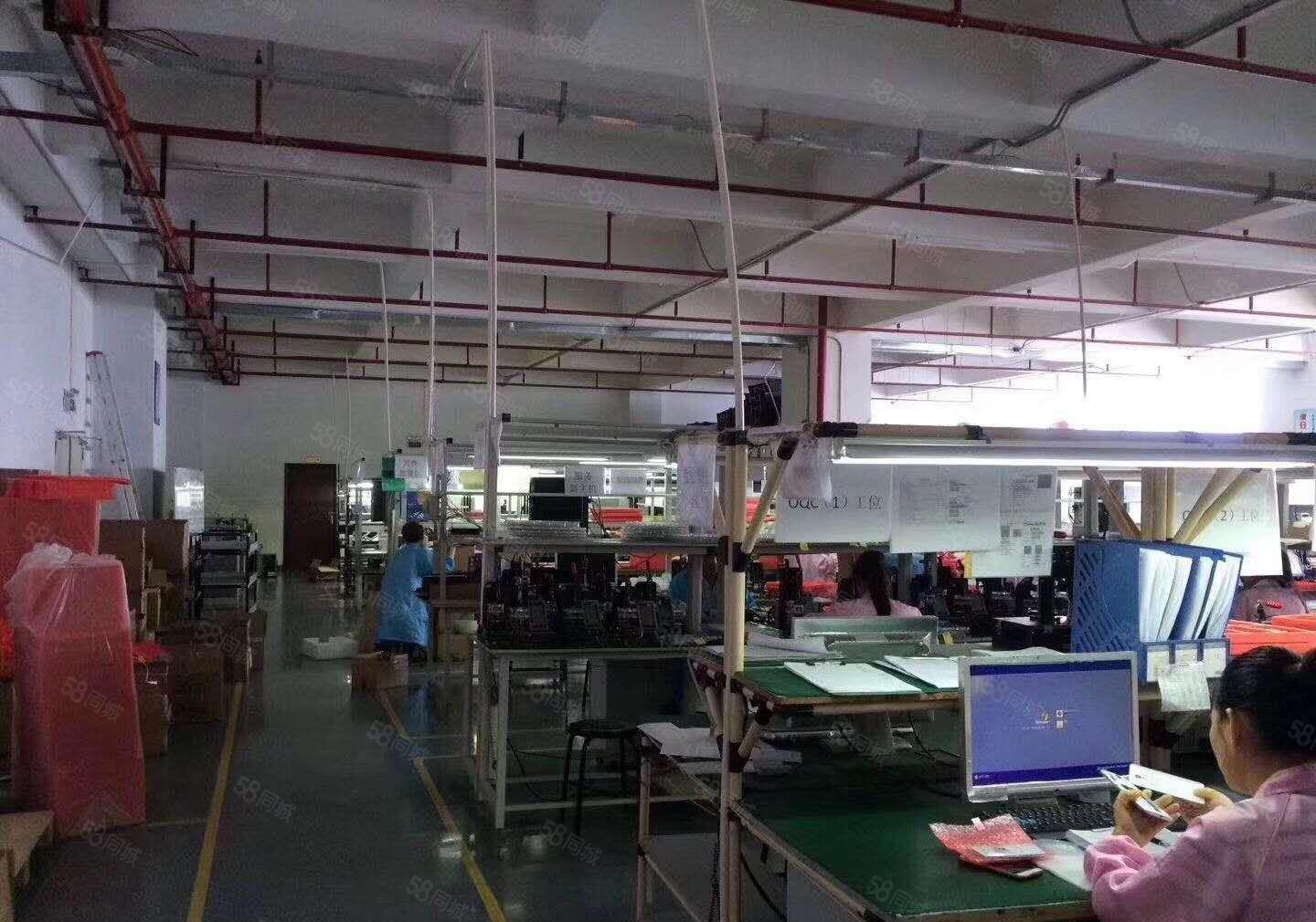 公明顺发工业园厂房出租6000平，600平起分（原房东直租）