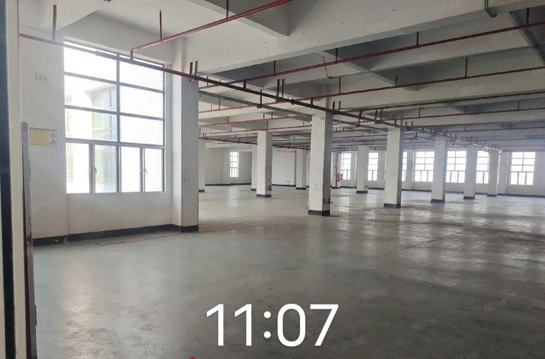 光明南光塘明出口红本厂房出租，可分租