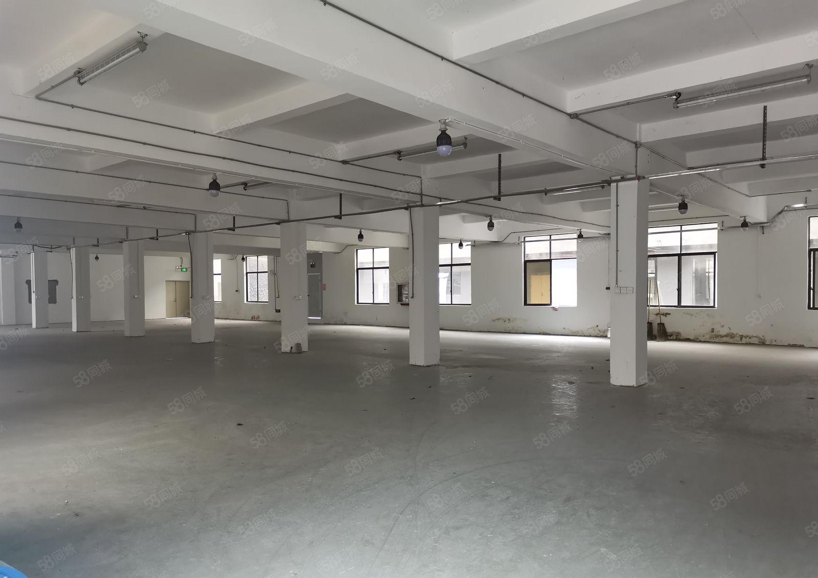 公明合水口精装修独院1~3层独院5200平方招租可分租