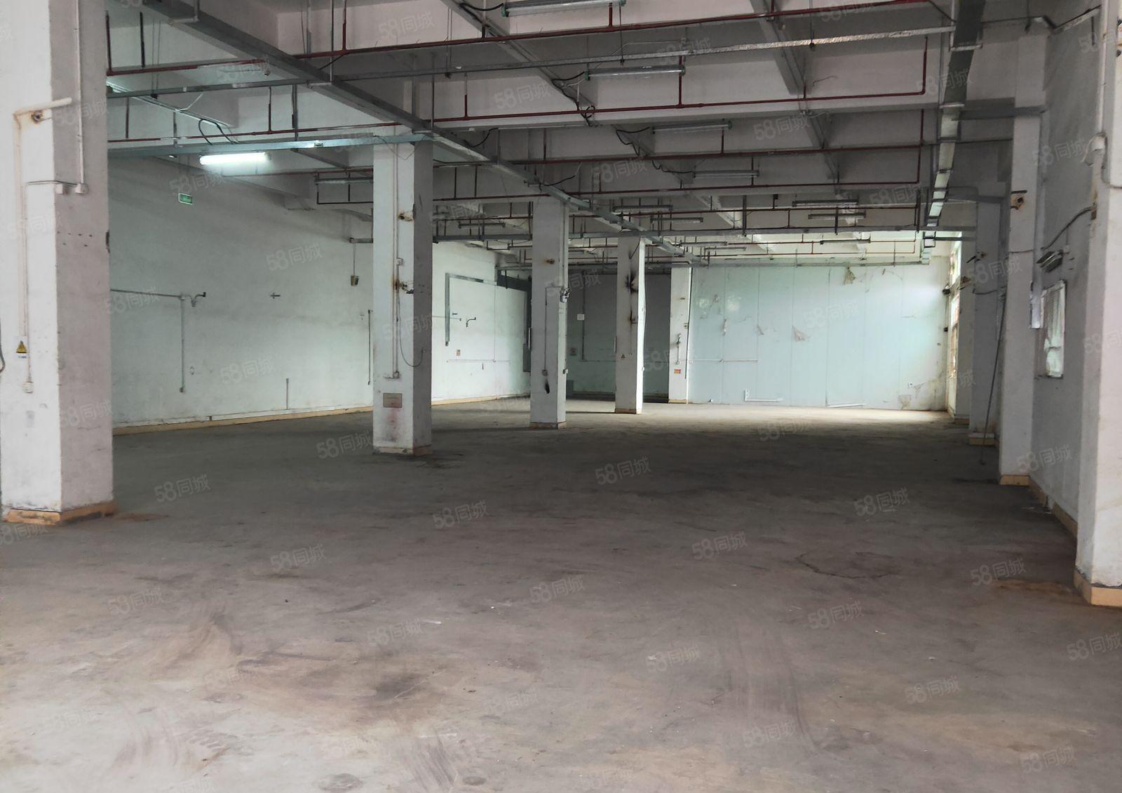 公明北环大道旁独栋1~2楼共5000平，高度6米，空地超大