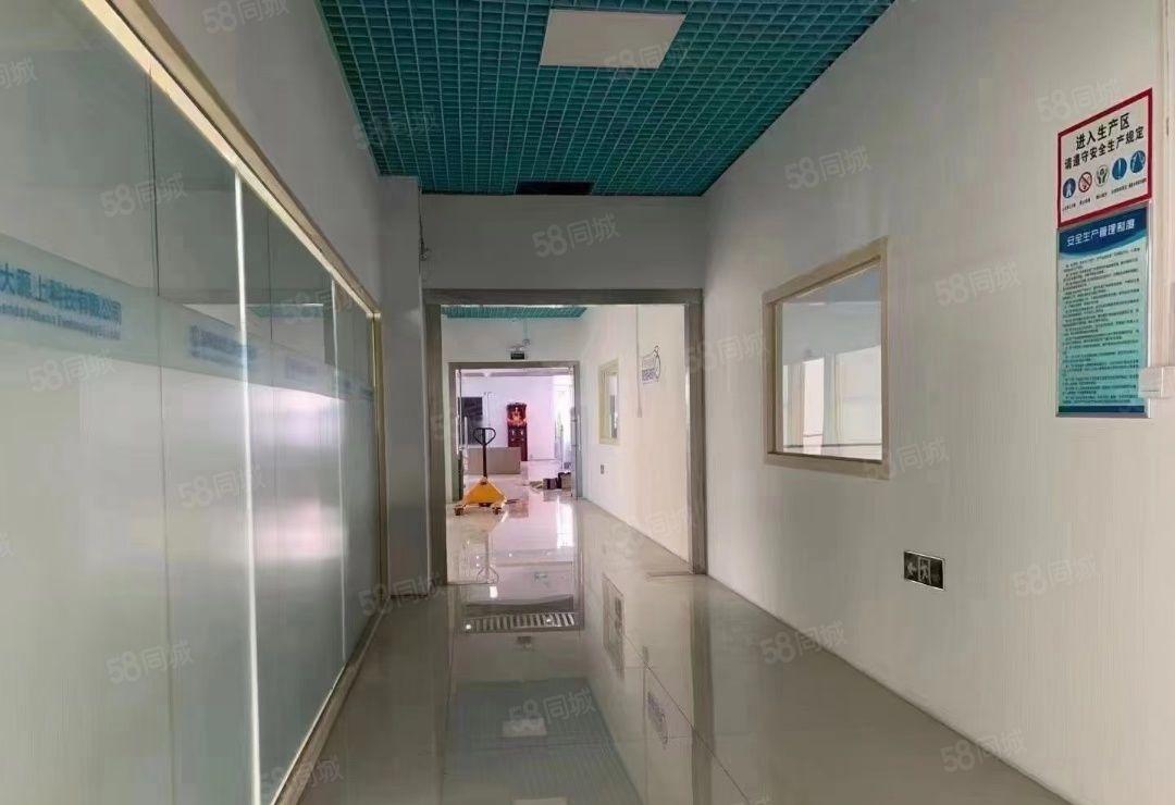 公明红本大型园区二楼1800平 价格含税 带前台办公室精装修