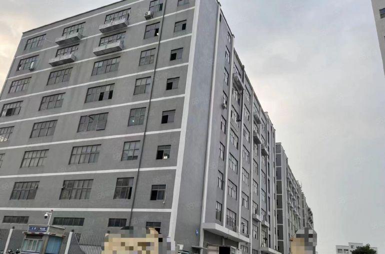 （公明楼村原房东厂房）1.56万平单层2600，分1300平