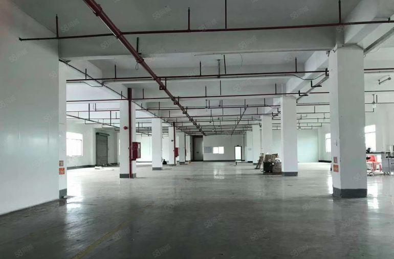 公明楼村重工业厂房3100平层高4.5米带消防喷淋分400平