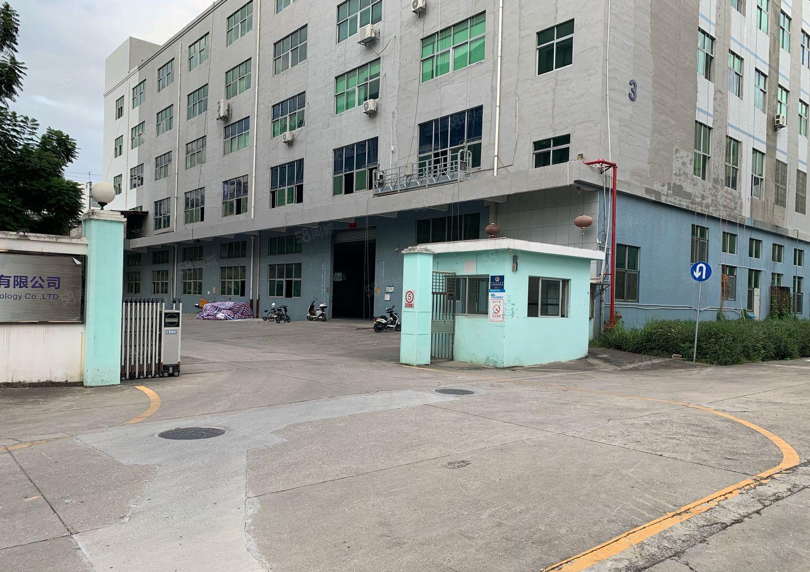 公明上村新出原房东厂房12层5000平方可分