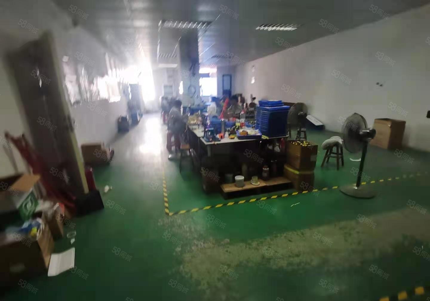 公明厂房出租南光高速出口旁楼上精装450平，看中随时可谈光明