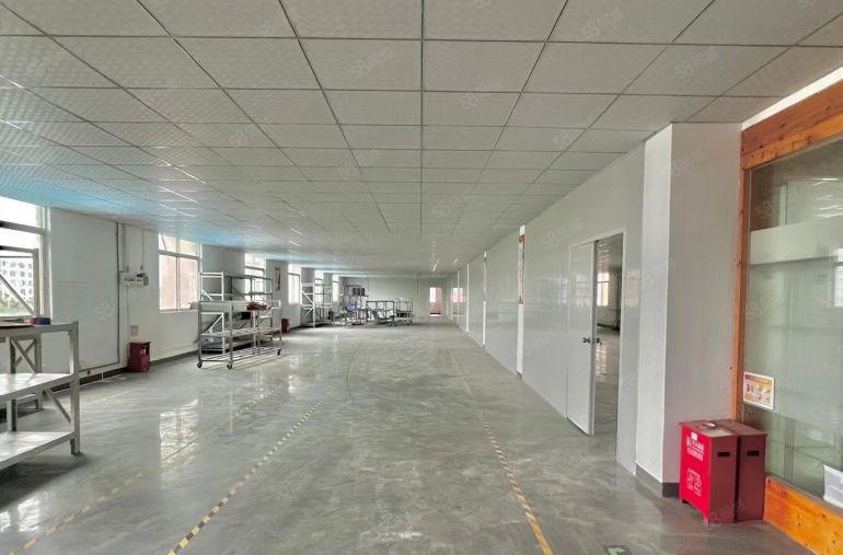 光明马田1楼楼上900和1100平出租带豪华办公室（可分割