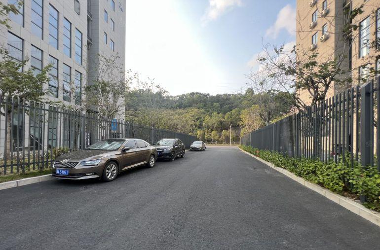 光明高新补贴新研发厂房600至2000平方出租开发商一手房东