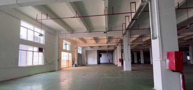 光明一二楼红本厂房各2600平出租带卸货台精装修办公室可分租