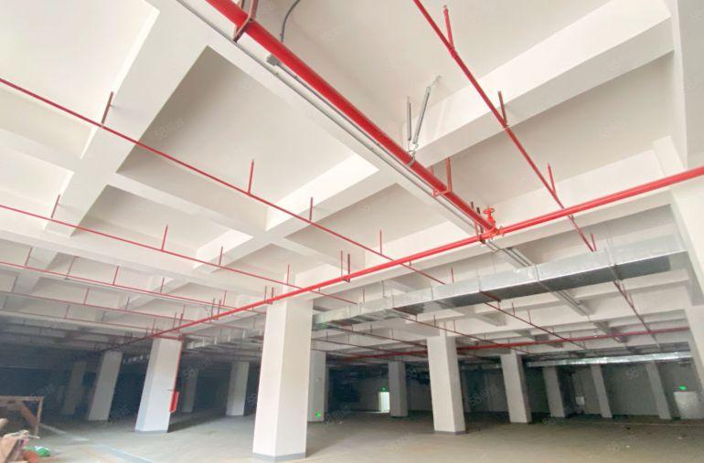 业主低价直租，临深圳光明1090平米一楼标准厂房便宜出租