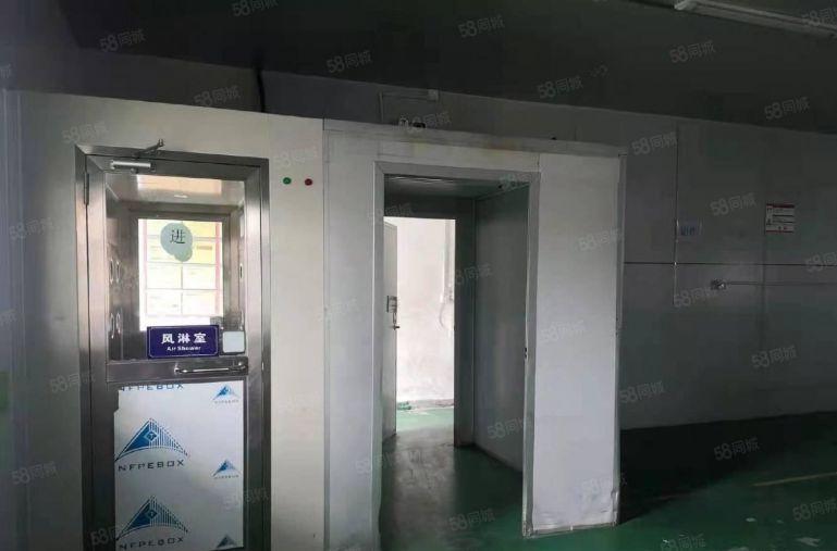 光明公明上村独院厂房300平至500平5000平厂房仓库出租