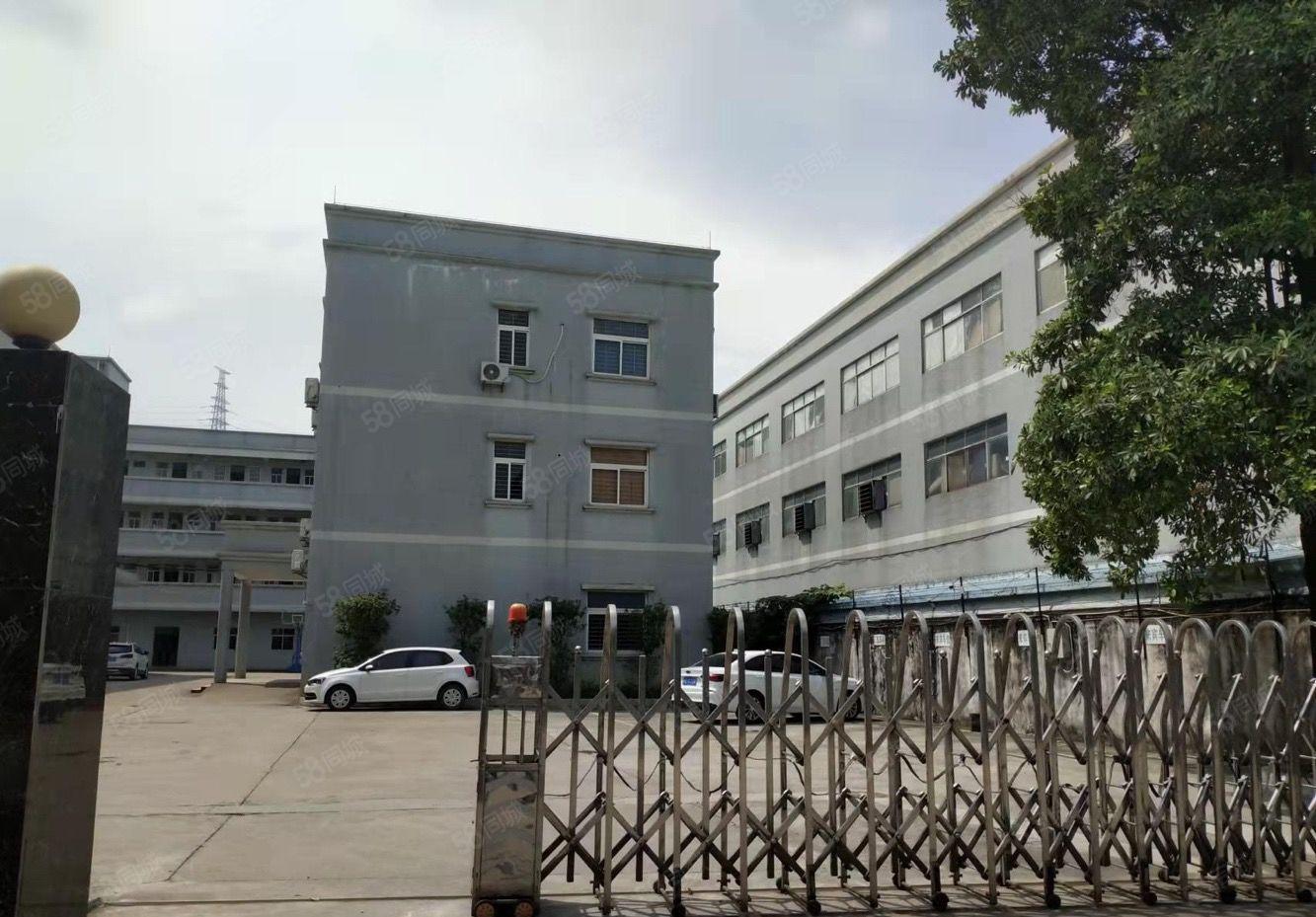 光明田寮楼上2000平方厂房招租原房东大型园区形象好