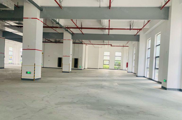 光明租金30元一楼1000平6米高公摊小原房东红本厂房出租