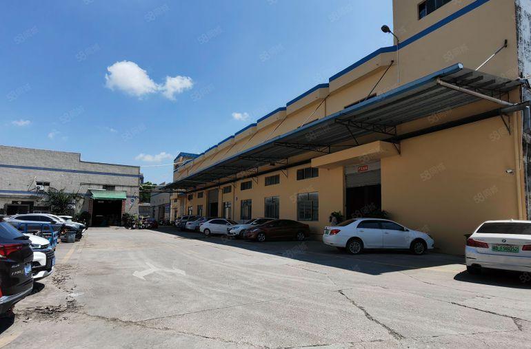 光明楼村公常路主干道边厂房一楼2300平带牛角全新地坪可分租