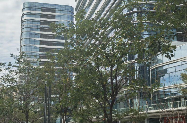 光明南太云创谷免租5个月直租研发厂房办公出租，光明红本厂房