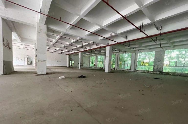 光明汇业科技园仓库厂房低价出租5000平500平起租仓库出租