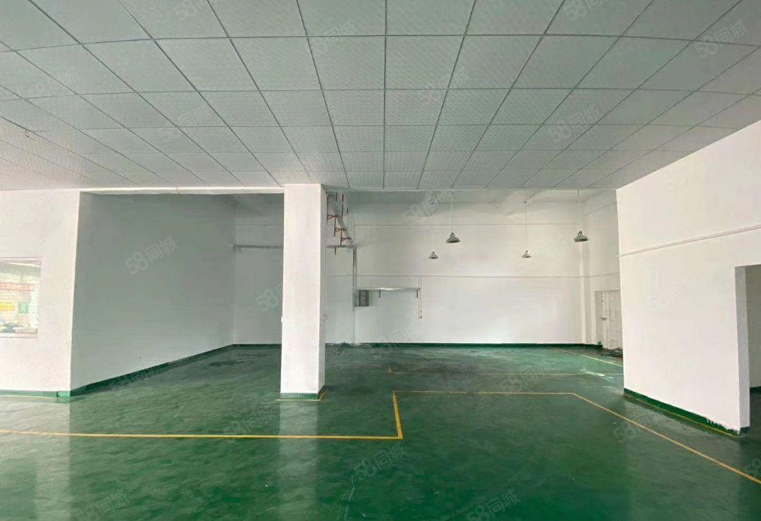 公明玉律一楼450平方出租，带办公室，高度5.5米