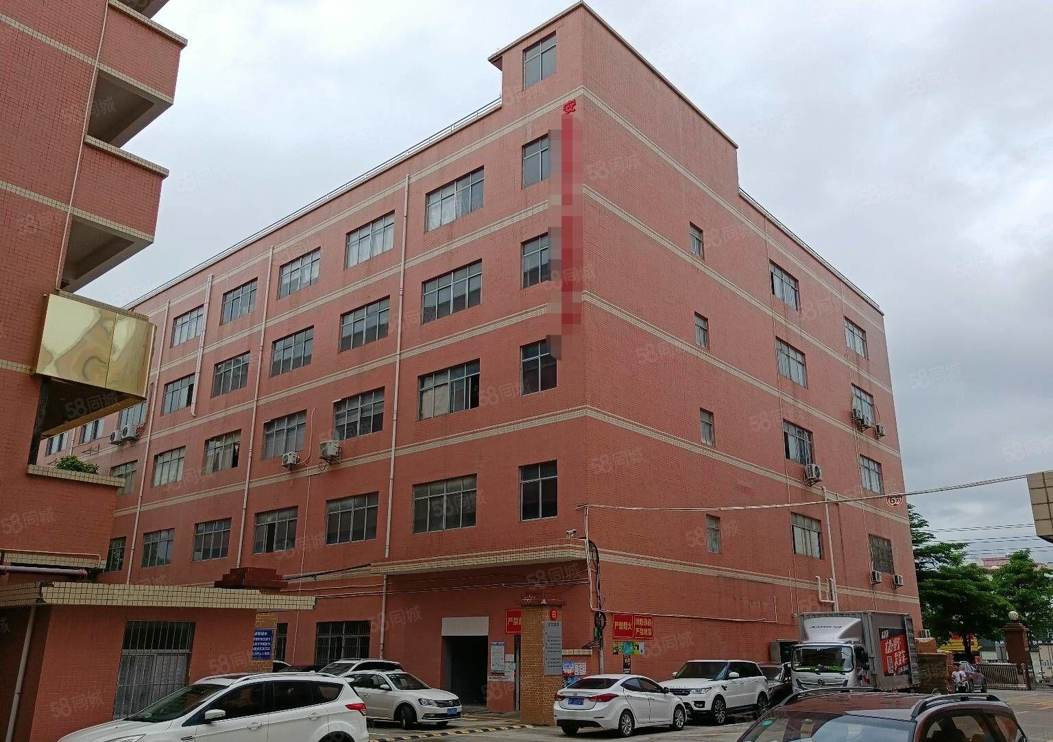 200平起租 公明主干道红本厂房一楼1500平出租现成办公室