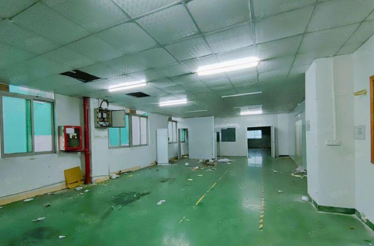 光明公明田寮无尘车间厂房出租（1100平无转让费，格局方正）