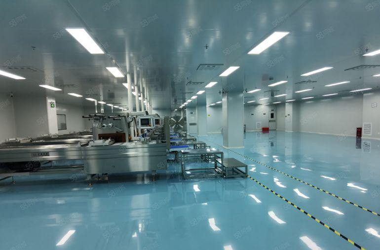 300万装修免费送带十万级无尘车间拎包入驻田寮3280平米