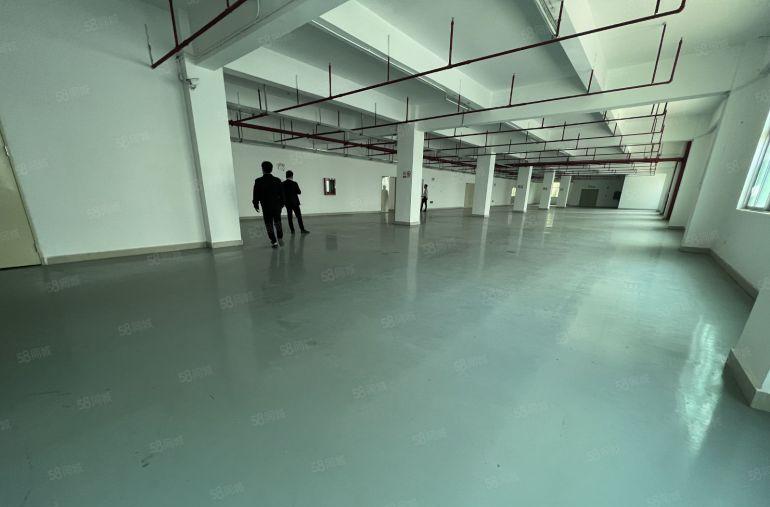 免租5个月！起公明甲子塘2000平厂房出租可申请租金补贴