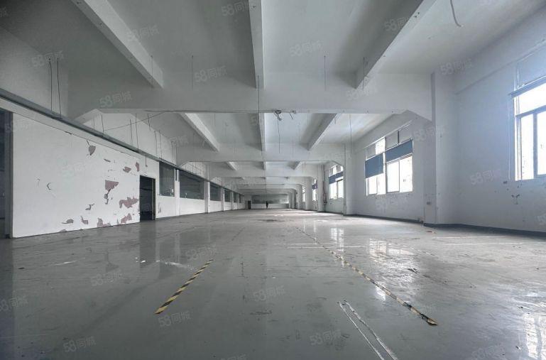 公明原房东独栋15000平厂房出租 带有红本大小可分 空地大