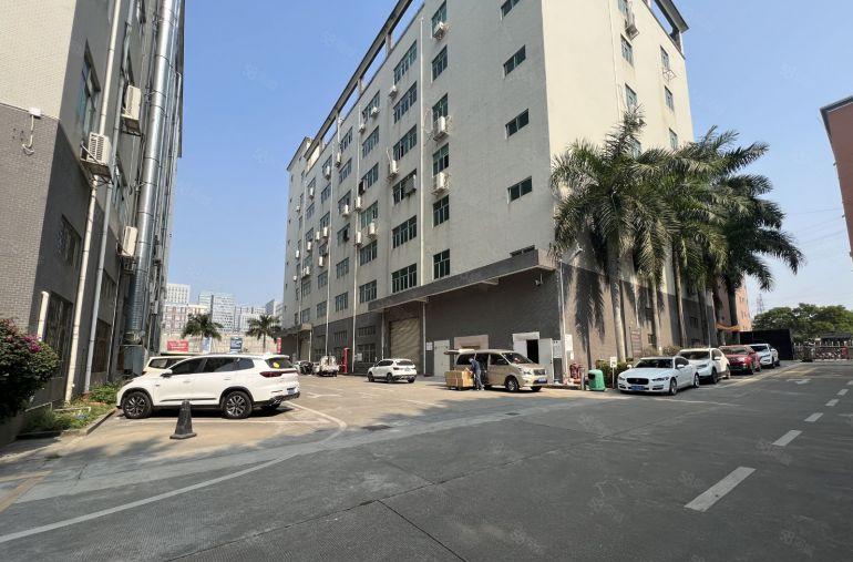 免租5个月！起公明甲子塘2000平厂房出租可申请租金补贴