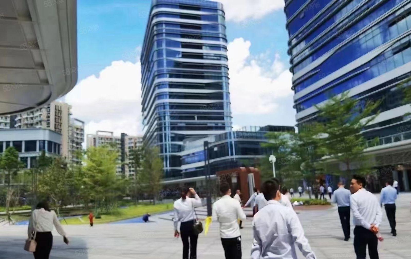 光明（开发商花园式红本厂房30万平方）招租可分租