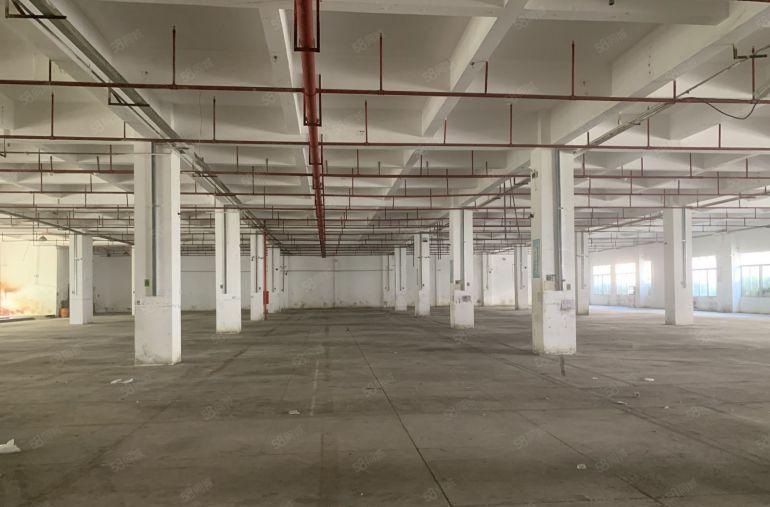 全年免租光明中心地段新出13万平高新红本园区100平起分租