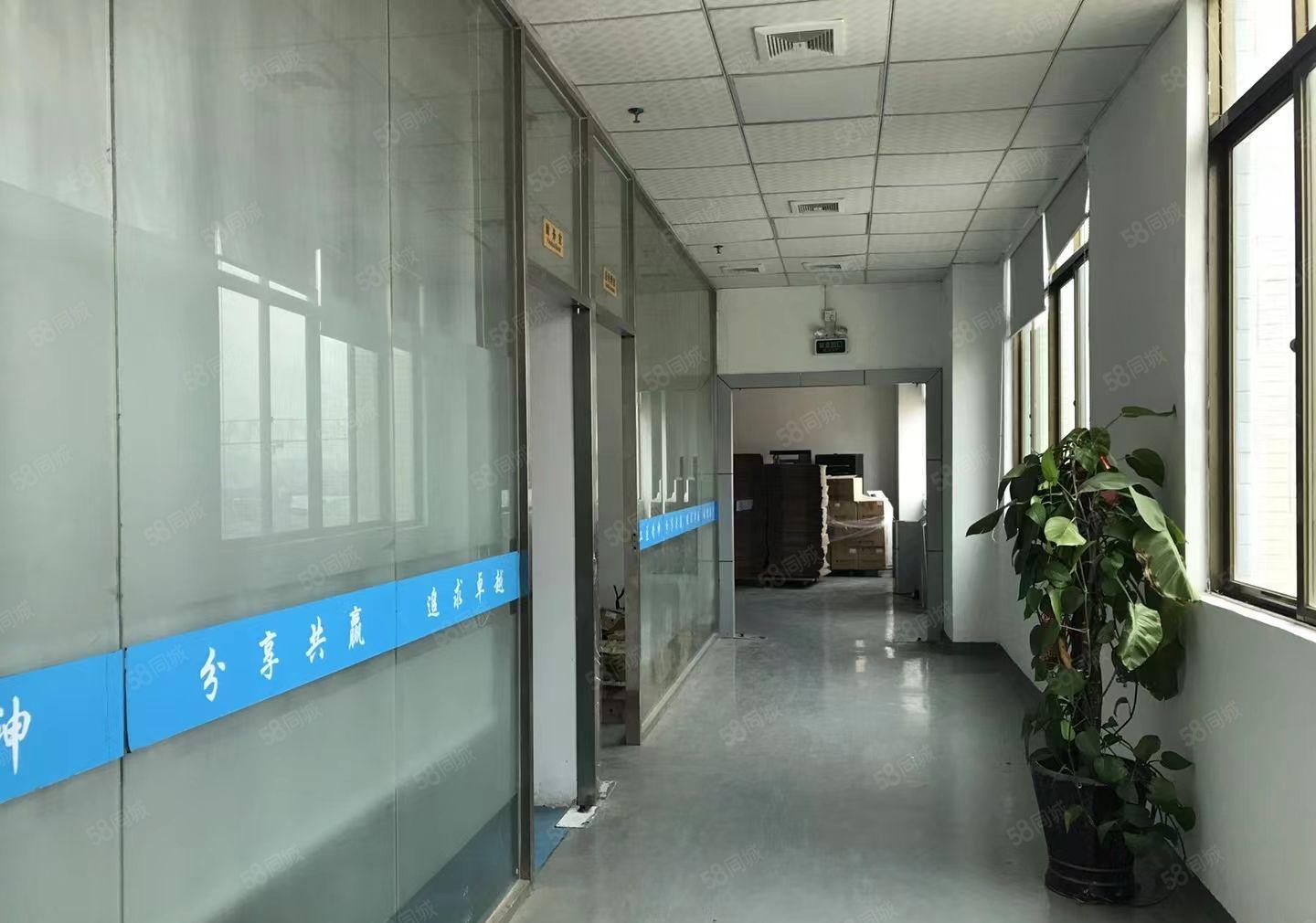 光明唯一低价厂房19元全包，楼上精装2000平，停车位充足