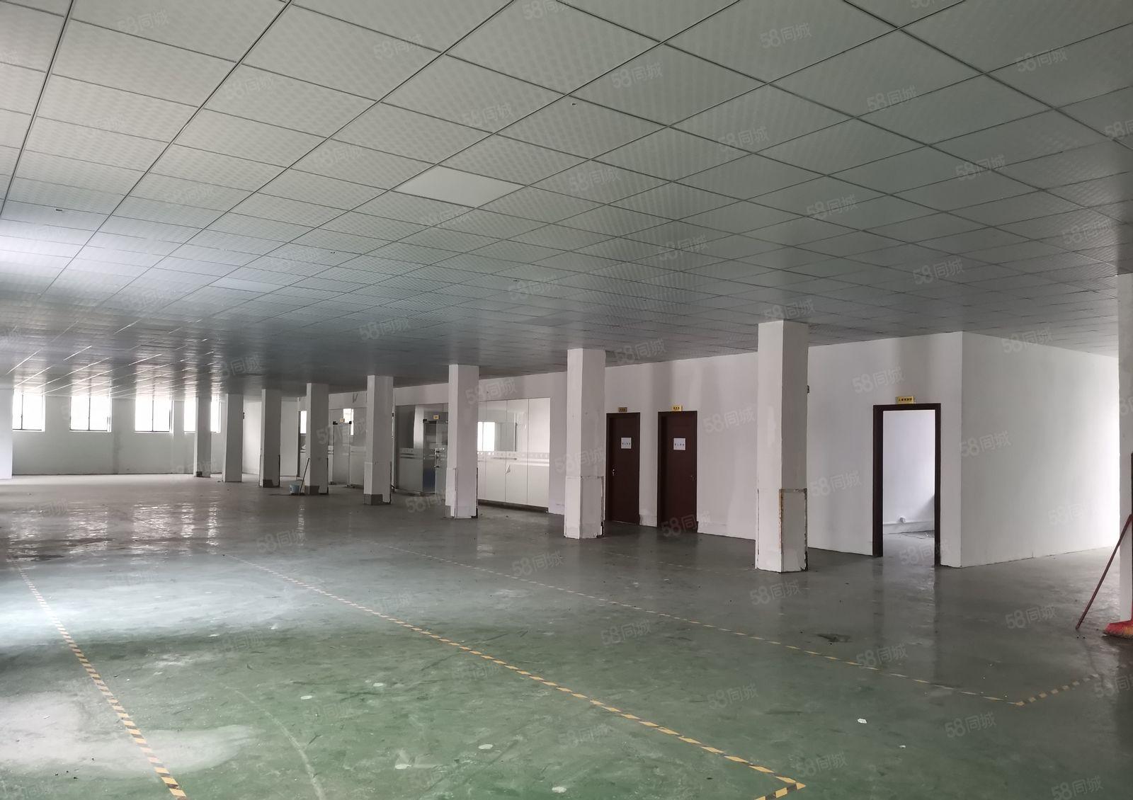 公明合水口精装修独院1~3层独院5200平方招租可分租