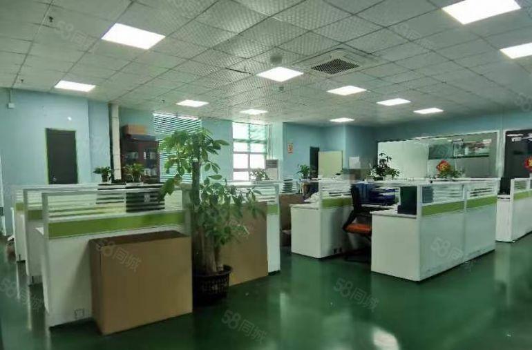 300平起租公明上村工业区1000平标准厂房出租仓库招租