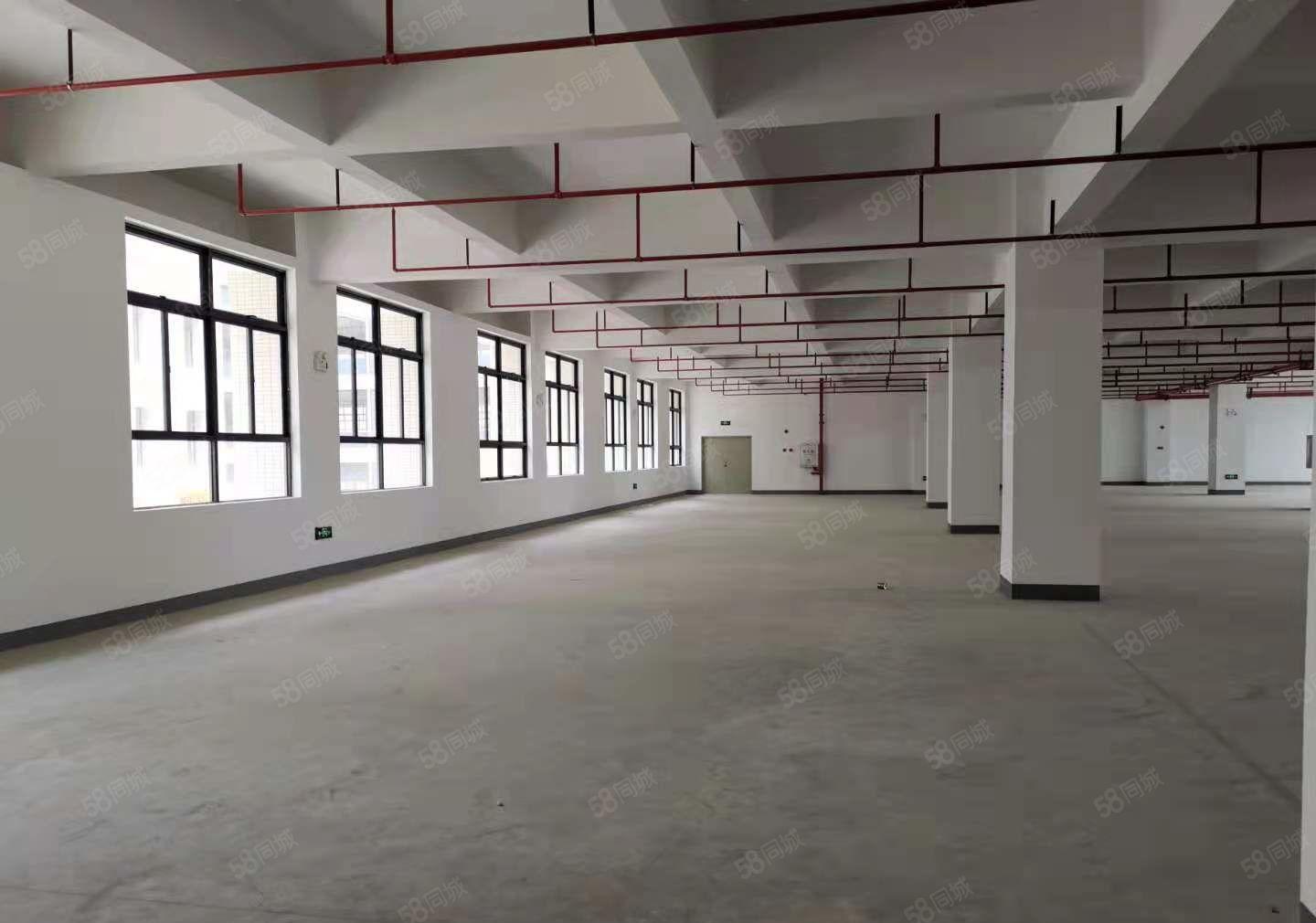 开发商直租厂房，仓库出租15000平600平起分，3吨货梯