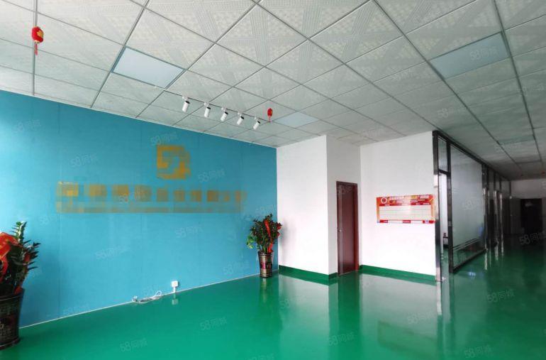 光明白花洞1000平方厂房出租转租现成精装修无尘车间可分租