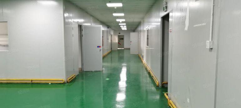 光明公明可领40元补贴的高薪产业园带红本国企厂房招租大小可租