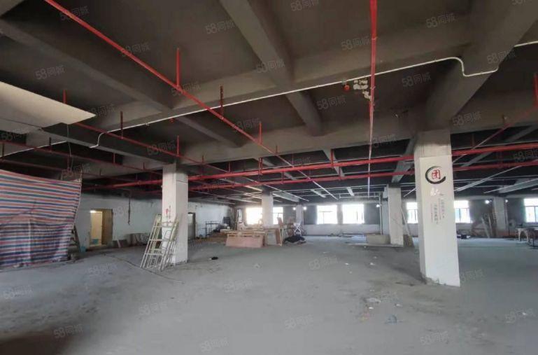 光明800平方原房东红本厂房仓库出租300起租可办公研发