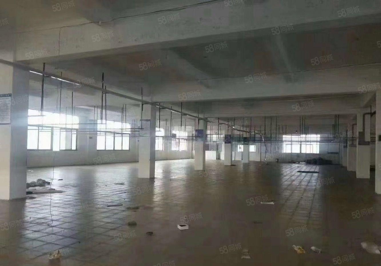 光明田寮楼上2000平方厂房招租原房东大型园区形象好