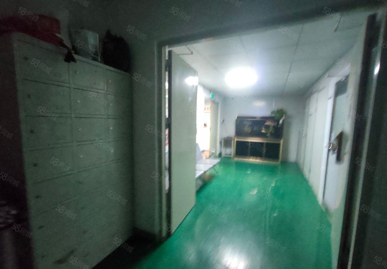 楼村大型工业园新出精装修厂房700平带无尘车间