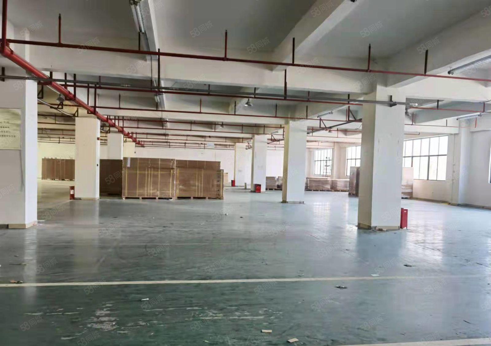 公明特殊行业厂房出租，可做纸箱，电池，仓库400~2900平