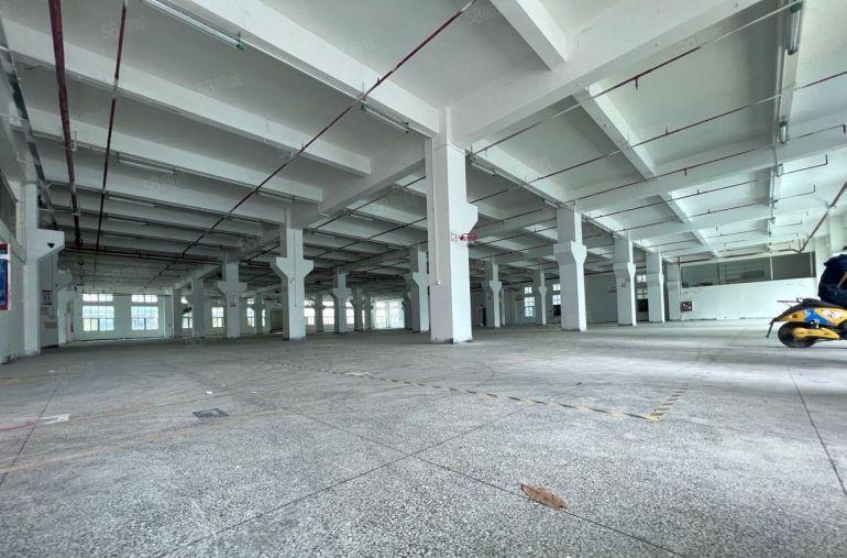 光明马头山原房东5000平厂房出租 实际面积出租 大小可分租