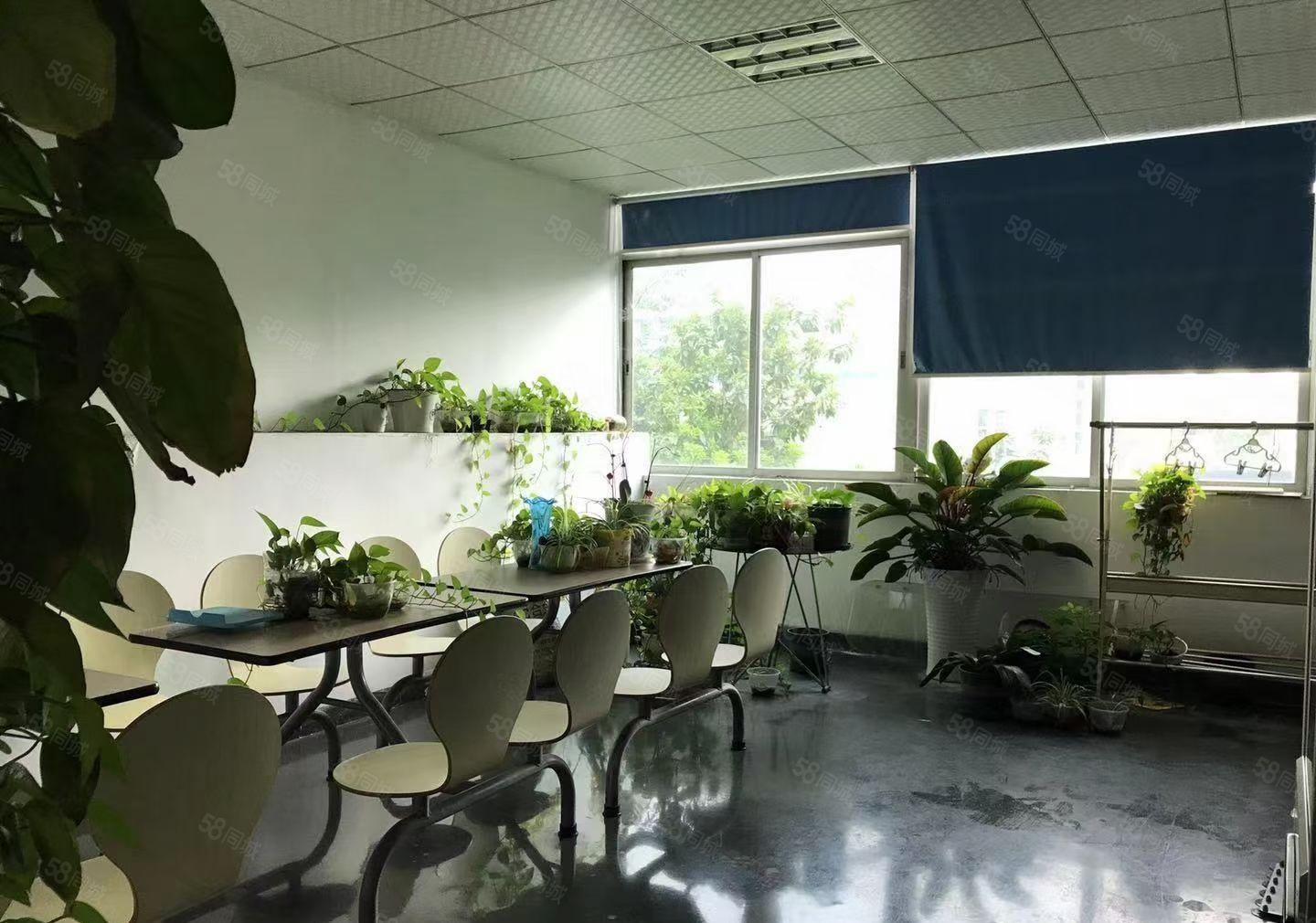 光明靓盘楼上1400平精装厂房出租园区形象好，配套齐全好招工